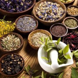 dried medicinal and aromatic plants