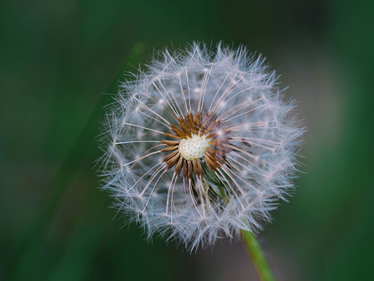 pexels-valentin-2150793390-31824728