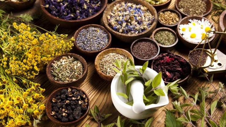dried medicinal and aromatic plants